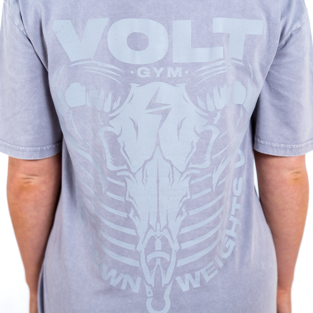 VOLT Horns Down Tee - ORCHID STONE