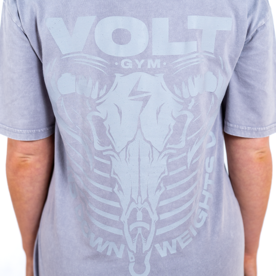 VOLT Horns Down Tee - ORCHID STONE